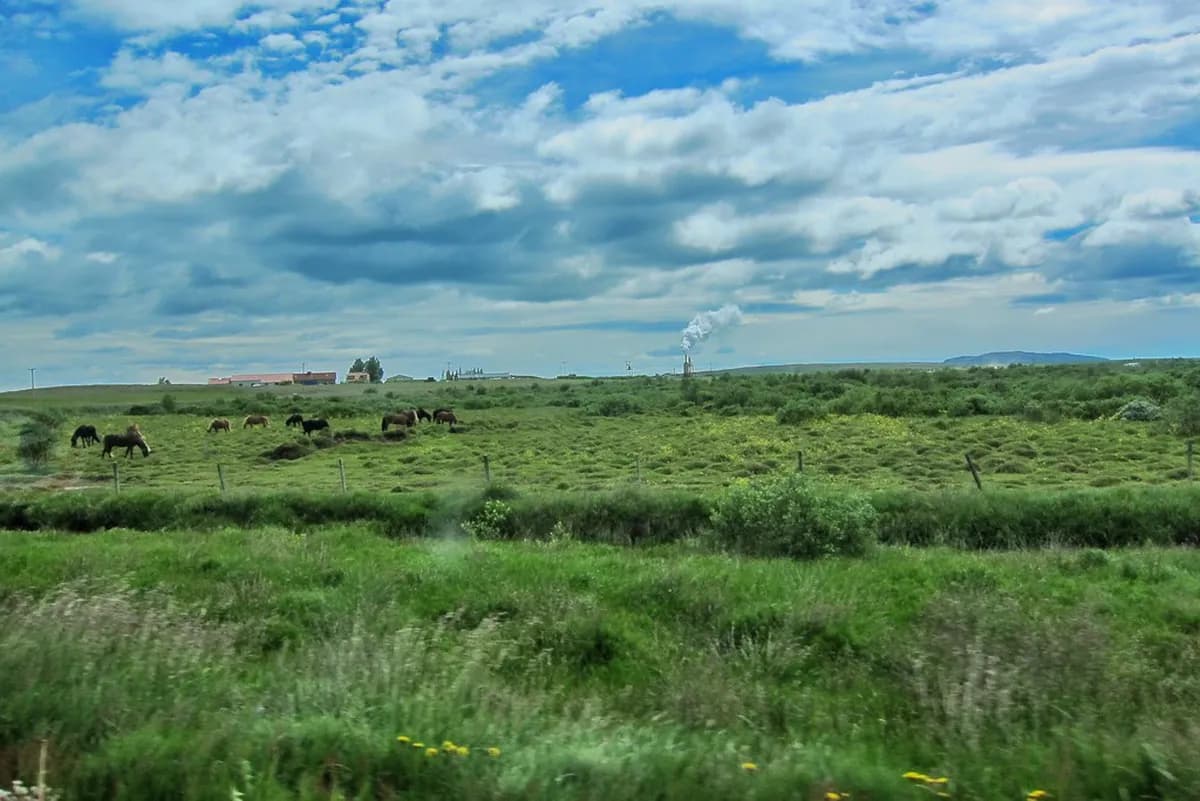 20 Best Tourist Attractions in Reykjavík: A Local's Guide